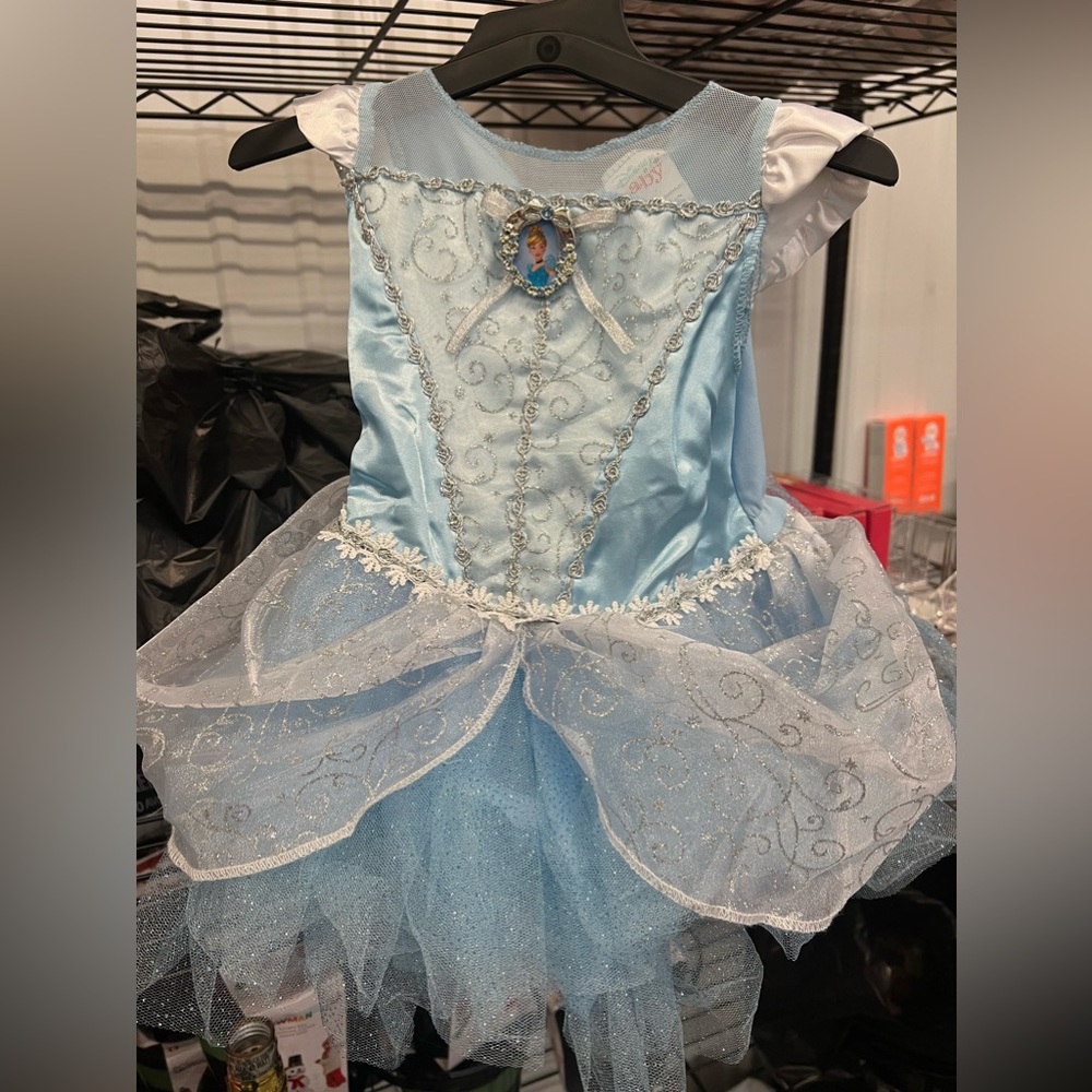 NEW Cinderella Costume, size 12-18 months